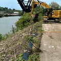 23July2024 Vegetation Removal3